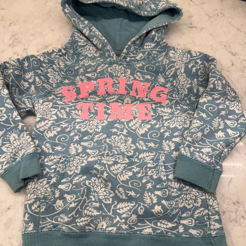 Spring Time Kids Hoodie - Blue and Pink